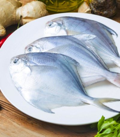 Silver Pomfret Fish